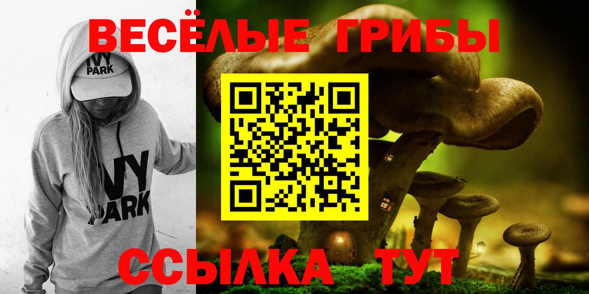 Галлюциногенные грибы Cubensis Гусиноозёрск